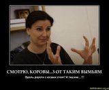 Бред сивой кобылы