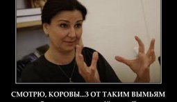 Бред сивой кобылы