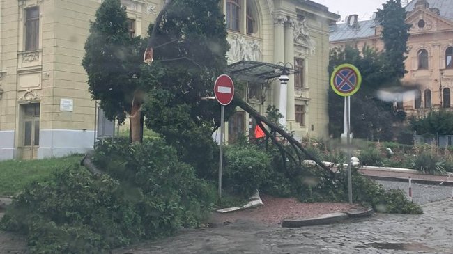 Повалені дерева, відсутня електрика, - Чернівці накрив ураган 01