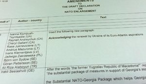 NATO Parliamentary Assembly acknowledges the renewal by Ukraine of its Euro-Atlantic aspirations. PHOTOS