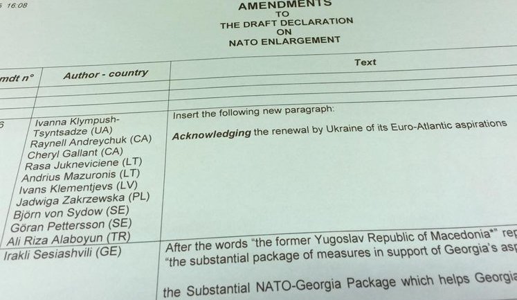 NATO Parliamentary Assembly acknowledges the renewal by Ukraine of its Euro-Atlantic aspirations. PHOTOS