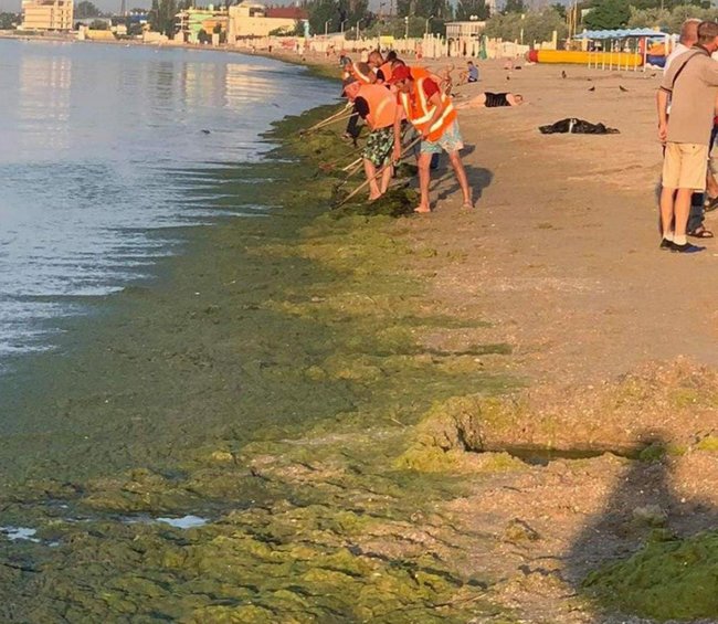 Коммунальщики в Одессе убрали с пляжа 30 куб. метров водорослей 02