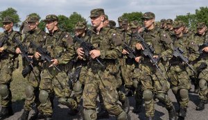 Армія Чехії рекордно збільшиться