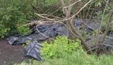 Bodies of Russian soldiers in the southern sector of the front