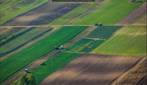 В Україні створять інтегровану систему контролю та обліку полів