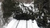 На заході України шквальний вітер призвів до перебоїв у залізничному сполученні, - "Укрзалізниця". ФОТО