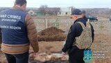 ексгумація