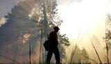 В Аризоне горят леса. Огонь уничтожил 9 тыс. акров национального лесопарка. ФОТОрепортаж.