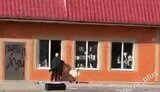 мародерство,суджа
