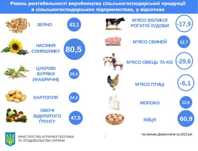 инфографика