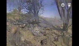 Madyar’s birds eliminated two sleeping occupiers