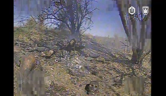 Madyar’s birds eliminated two sleeping occupiers