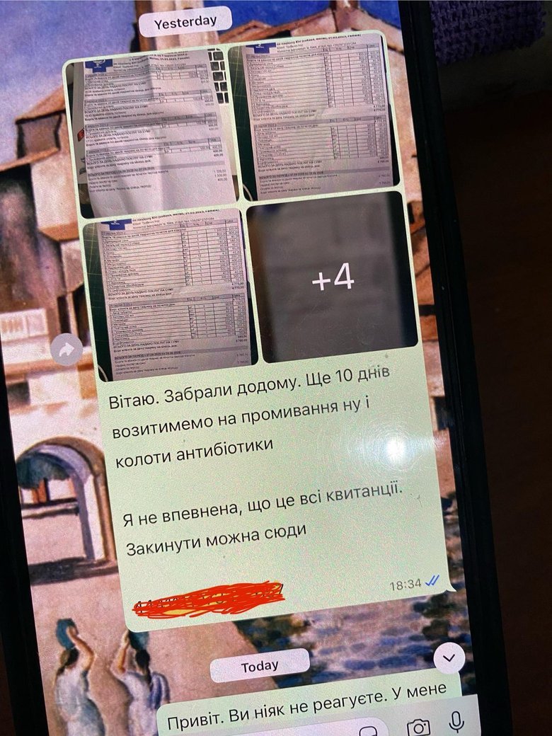 В Киевской области алабай Бориса Шефира напал на маленькую собаку