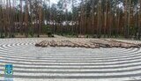 вирубка