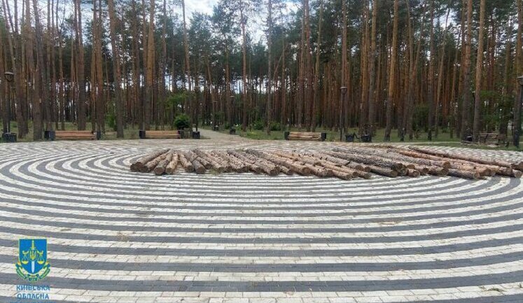 Ексначальника військової адміністрації на Київщині підозрюють у незаконній порубці дерев на 600 тис. грн