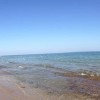 Олег Мищенко #384524