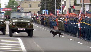 Російське командування на Донбасі стягує техніку з "парадів" на передову, - ГУР