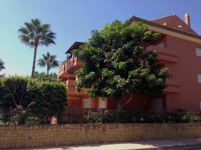 тулуб