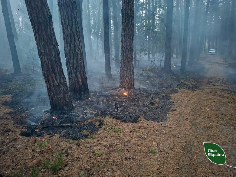 Внаслідок обстрілу РФ 30 вересня на Київщині виникли лісові пожежі
