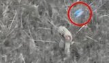 drone hits head of occupier