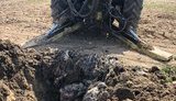 Затримано власників агрохолдингу за підозрою в організації пташиного могильника: за даними ЗМІ, серед них власник "Гаврилівських курчат", екс- "регіонал" Сігал. ВІДЕО+ФОТО