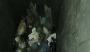 "Света нет и они чувствуют себя вольготно. Сначала мы думали, что это ежики", - жители оккупированного Севастополя говорят о нашествии крыс. ВИДЕО