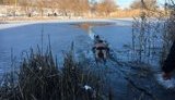 Лікар витягнув школярку з-під криги у Кропивницькому. ФОТО