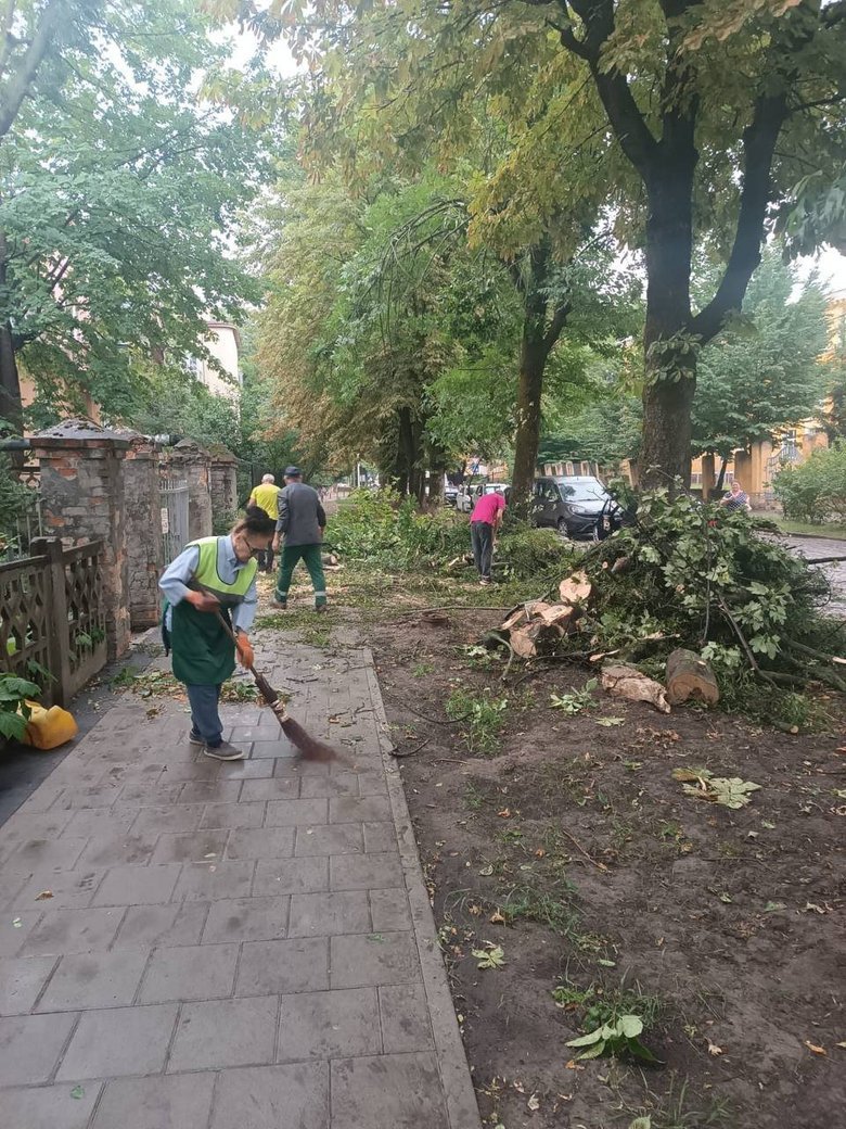 Гроза у Львові 29 червня: повалені дерева та зірвані дахи