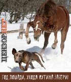 Лошадь, Путина с собой забери!