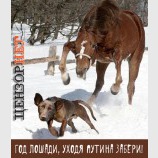 Лошадь, Путина с собой забери!