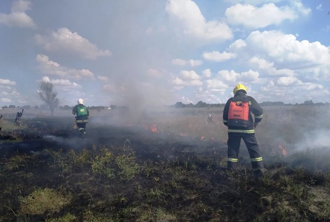 Протягом минулого тижня на водоймах України загинуло 50 осіб, під час пожеж - 7, - ДСНС 01