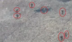 група окупантів йде полем