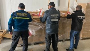 Пограничники обнаружили 400 ящиков контрабандных сигарет среди замороженных вишен