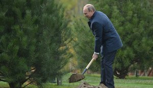 Путін сам собі риє останню пастку