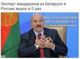 Экспортер цитрусовых