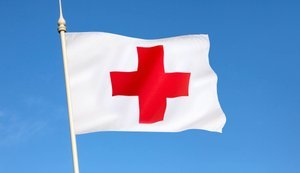 МКЧХ розбирається з ситуацією в Олешках на Херсонщині