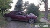 Водій Peugeot загинув у ДТП на Миколаївщині, - поліція. ФОТО