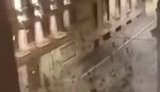 Дощ із мертвих птахів у перший день 2021 року в центрі Риму. ВIДЕО
