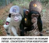 Тупой и еще тупее...