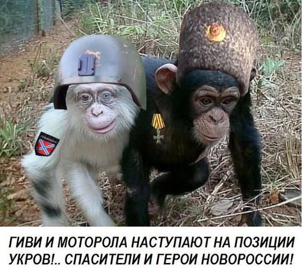 рф