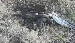 Russian shoots himself on the battlefield