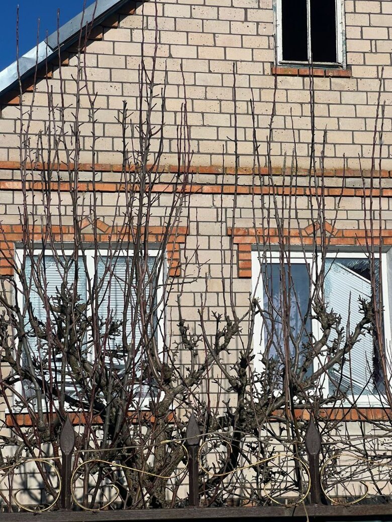 Обстріл Нікопольщини 8 лютого