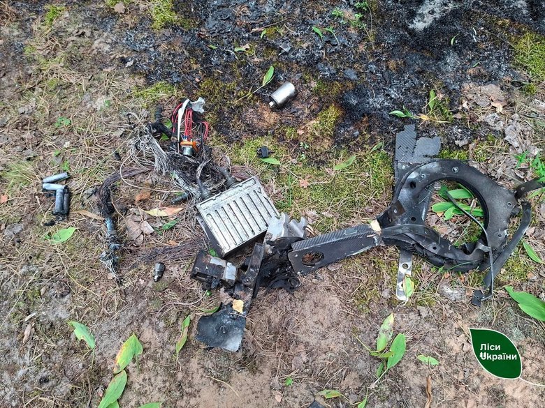 Лісову пожежу після атаки російського дрона на Київщині ліквідували за кілька годин