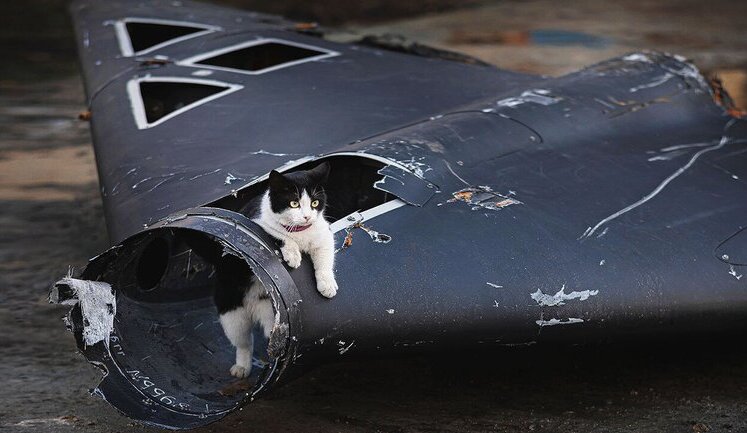 China has become Russia’s largest supplier and could transfer lethal weapons - The Economist