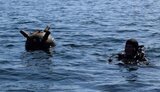 море,міна
