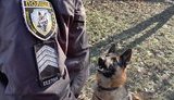 Службовий собака допоміг поліції за півтори години відшукати зниклу в Черкасах дитину