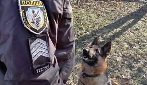 Службовий собака допоміг поліції за півтори години відшукати зниклу в Черкасах дитину