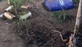 Унаслідок вибуху невідомого предмета постраждала мешканка Мирнограда, - поліція Донеччини. ФОТО