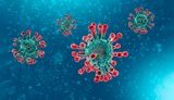 Ukraine reports 1,447 new coronavirus cases