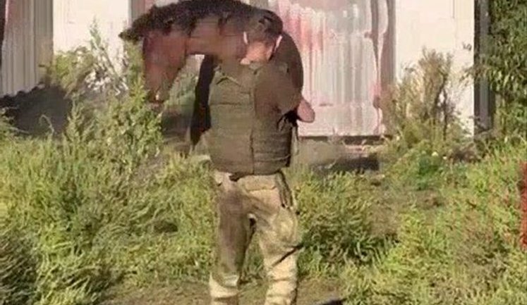 Оккупант ради развлечения расстреливает коня в оккупированном украинском селе: "Я ему, бл#дь, все пули в голову попал". ВИДЕО 18+